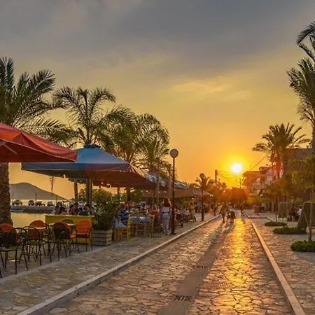 Ninemia Vromonérion