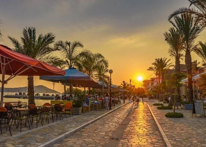 Ninemia Vromonérion